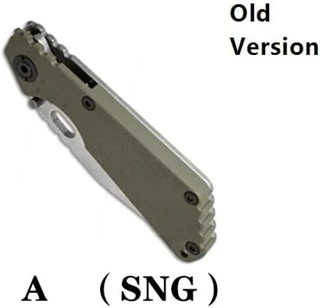 1 Set Titanium Scales Handle Screw Fits for Strider SNG Old Version(Silver)