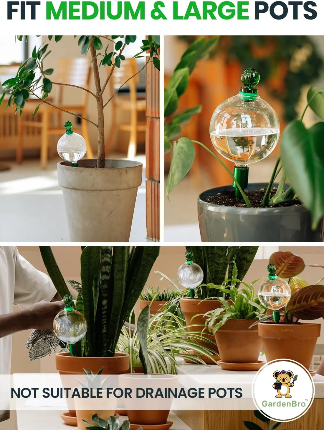16 Oz Plant Watering Globes For Indoor Plants With Metal Self Watering Planter Insert - Premium XL Glass Hand-blown Globes - Automatic Indoor Planter Waterer, Gift Idea For Gardeners [1, Clear]