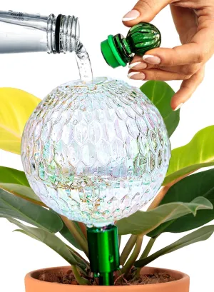 16 Oz Plant Watering Globes For Indoor Plants With Metal Self Watering Planter Insert - Premium XL Glass Hand-blown Globes - Automatic Indoor Planter Waterer, Gift Idea For Gardeners [1, Textured]