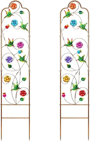 2 Pack Garden Trellis for Climbing Plants Outdoor Metal Arch Trellis for Climbing Vines Plants Support 60'' H x 11'' W Hummingbird