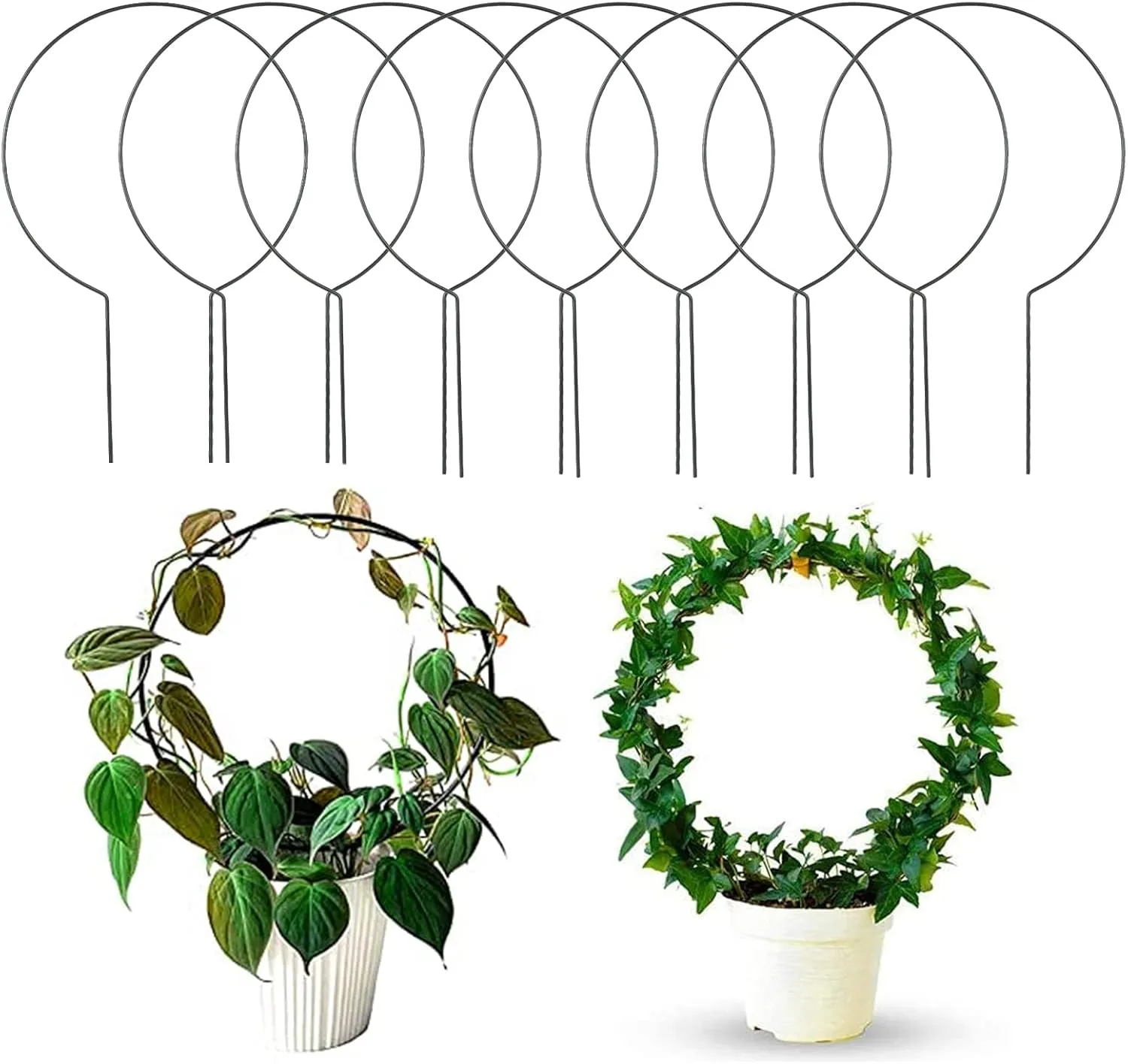 Acrux7 10 Pcs Trellis for Climbing Plants Indoor Plant Trellis Small Circle Trellis Plant Supports for Potted Plants Vines Hoya Topiary Frames