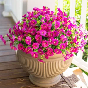 Artificial Fake Flowers Plant for Outdoors, 12 Bundles Faux Morning Glory UV Resistant Look Real Silk Flowers for Outside Planter Front Door Porch Patio Yard Spring Summer Decoration, Fuchsia