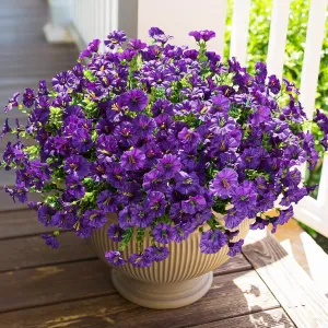 Artificial Fake Outdoor Flowers Plants for Spring Summer Outside Porch Decoration, 12 Bundles Faux Purple Flowers Silk Morning Glory UV Resistant Realistic for Planter Front Door Patio Yard