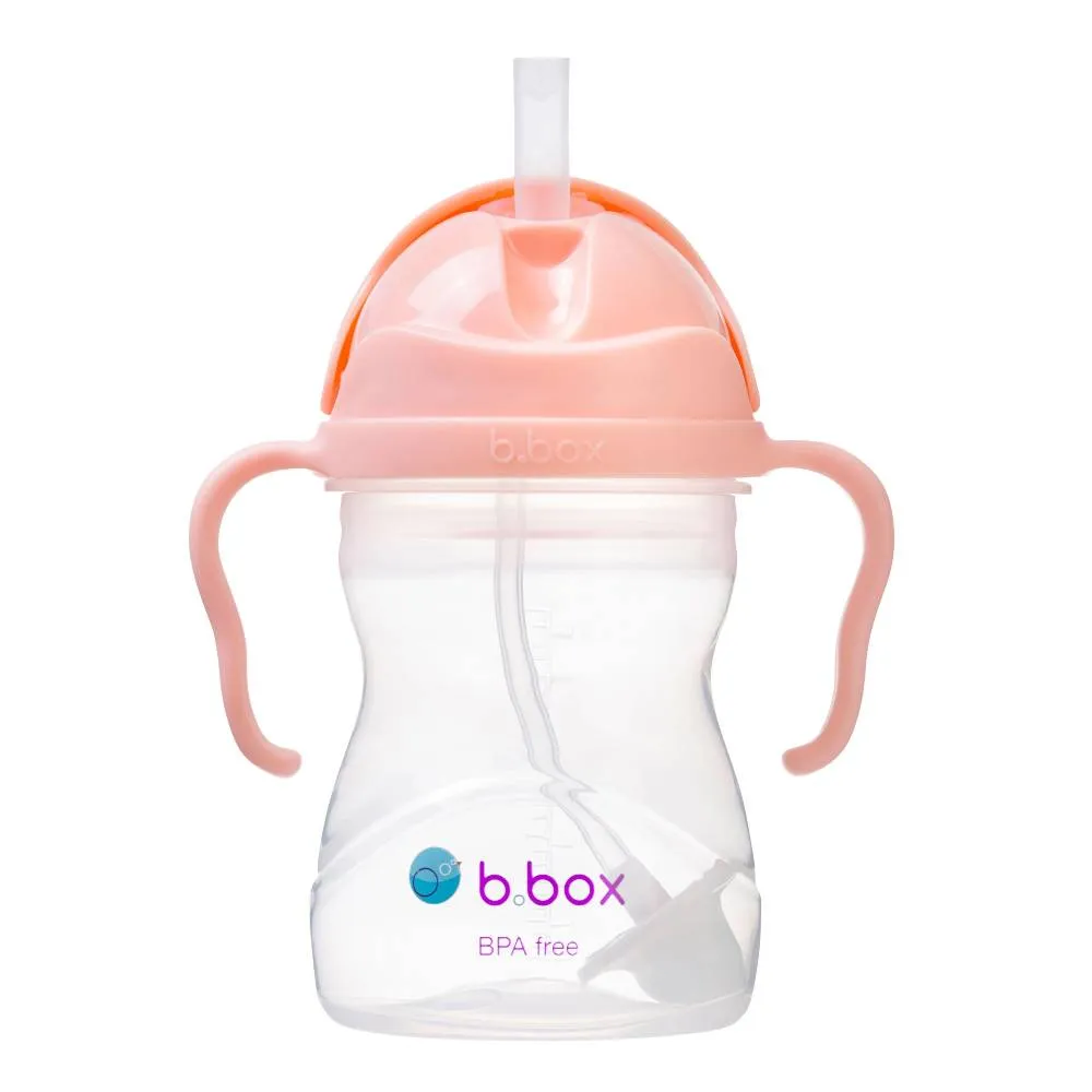 b.box | Sippy Cup V2