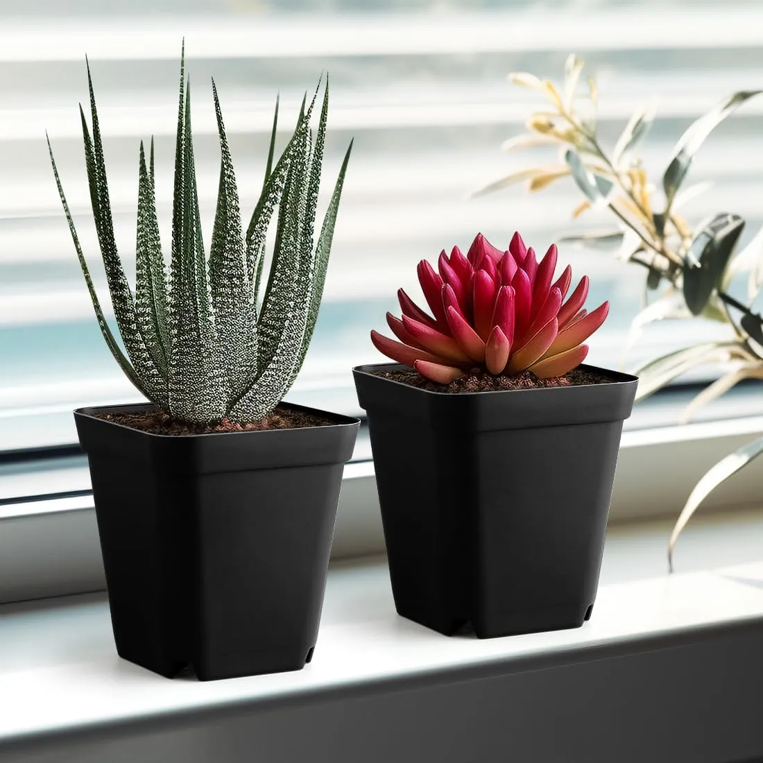 BTPLASTIK 80 Pcs Nursery Pots 4 Inch, Plastic Seed Starting Pot with Drainage Holes, Sturdy Seedling pots for Planting, Succulents, Transplanting, Cuttings (Black)