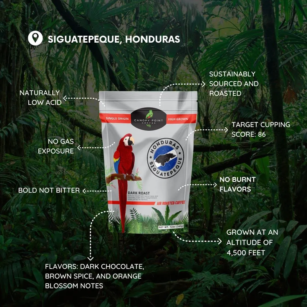 Canopy Point Coffee Honduras Dark Roast | Coarse Ground Coffee for Cold Brew, French Press & Percolator | Arabica specialty small batch roasted to order with smooth strong chocolate notes & aroma