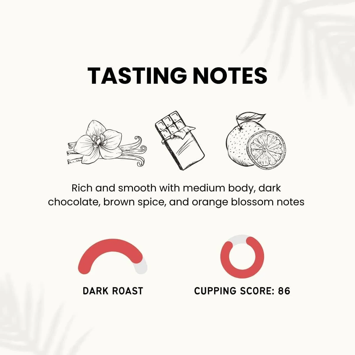 Canopy Point Coffee Honduras Dark Roast | Coarse Ground Coffee for Cold Brew, French Press & Percolator | Arabica specialty small batch roasted to order with smooth strong chocolate notes & aroma