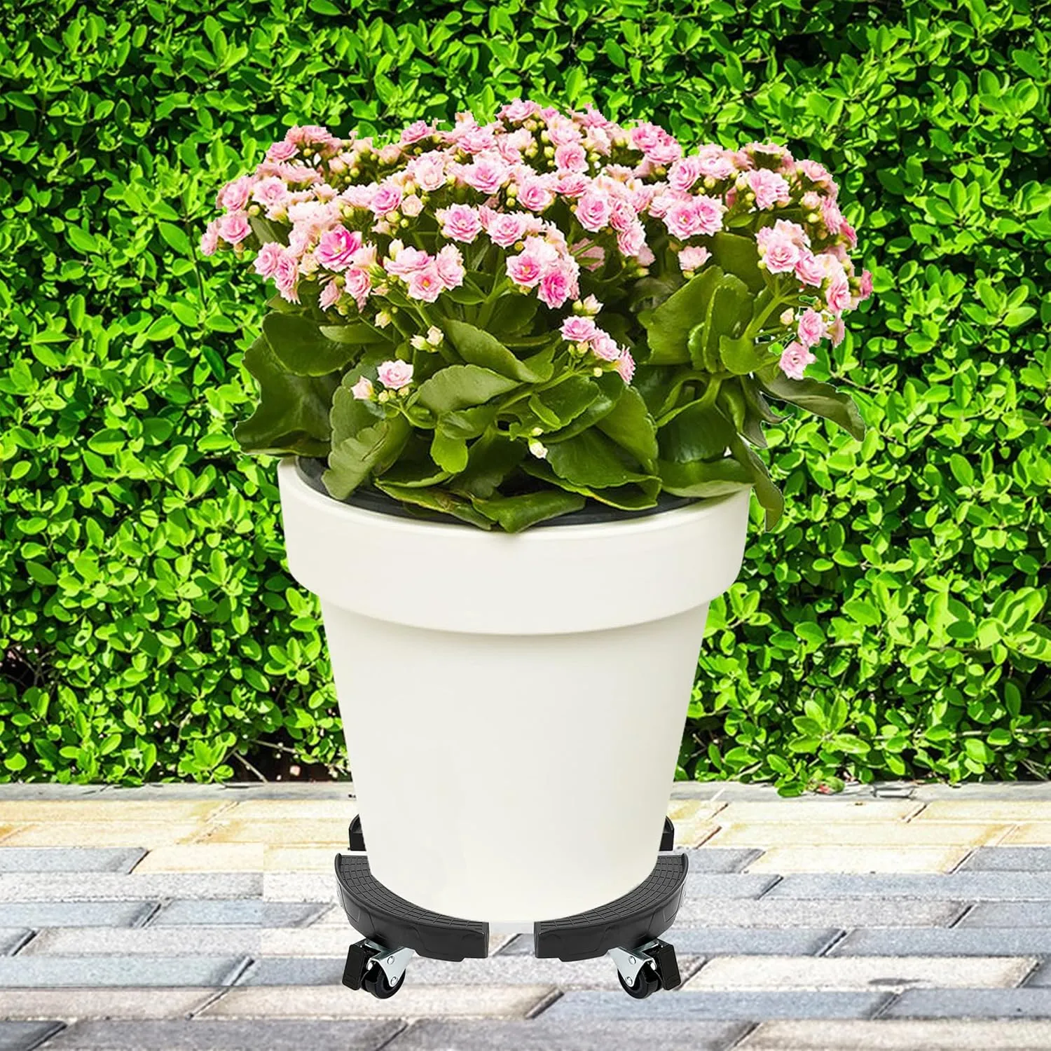 CASIMR Plant Stand with Wheels, Adjustable 15-21" Heavy Duty Plant Caddy with Casters, 440lb Capacity Indoor Outdoor Large Potted Planter Cart Dolly, Rolling Plant Stand for Flower Pot