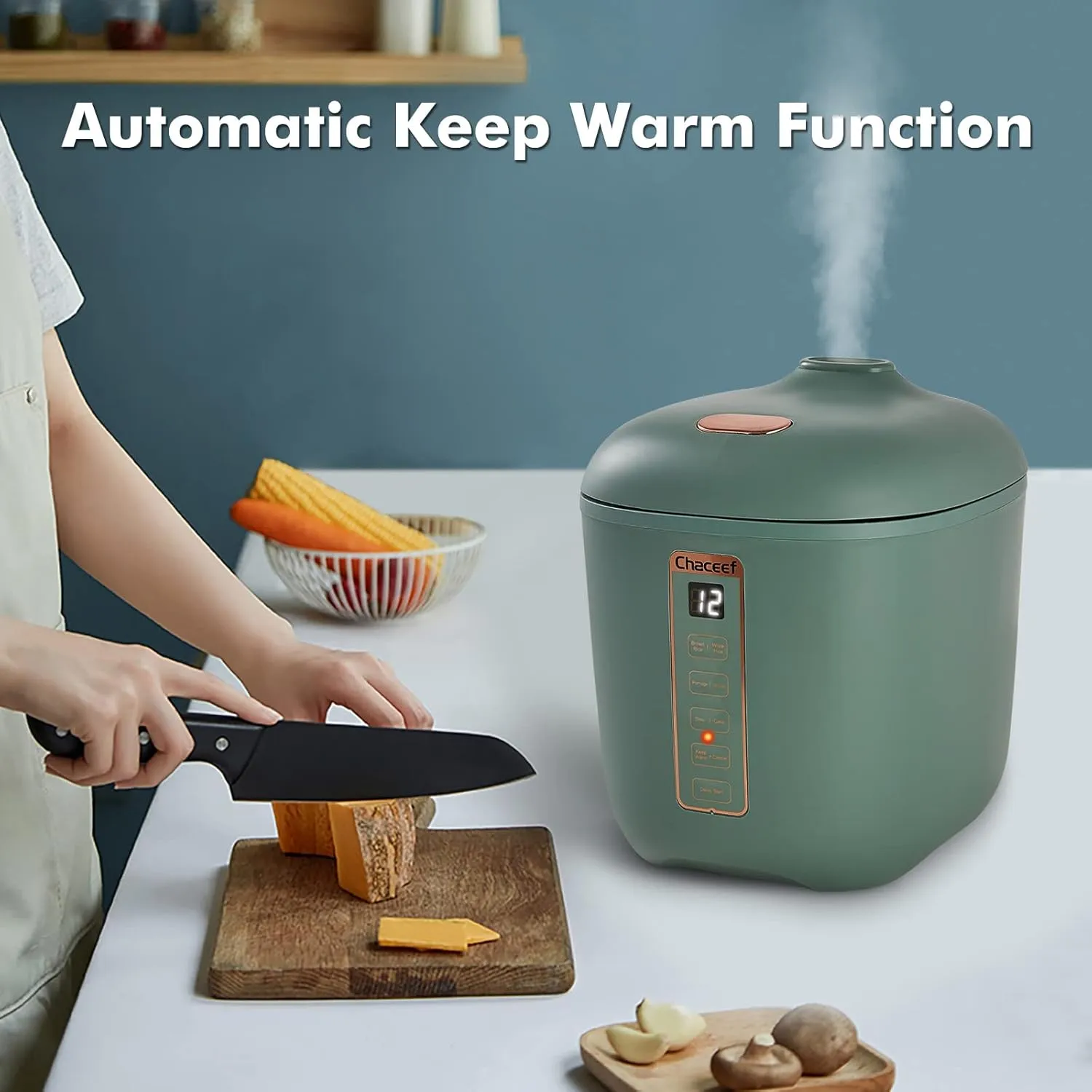 CHACEEF Mini Rice Cooker 2 Cups Uncooked, 1.2L Rice Cooker Small, Portable Non-Stick Small Travel Rice Maker, BPA Free, Smart Control Multifunction Cooker with 24 Hours Timer Delay & Keep Warm Function, Green