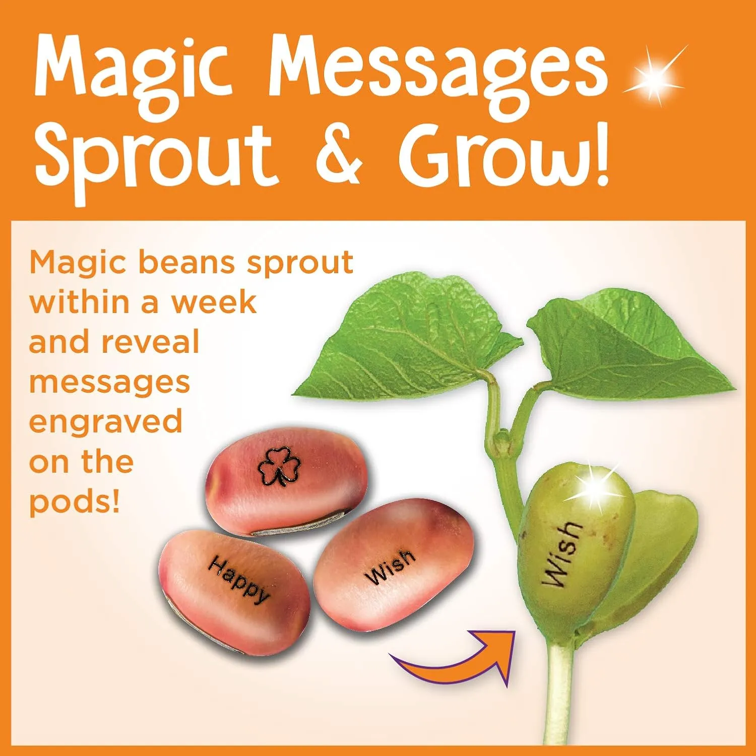 Creativity for Kids Magic Bean Garden, Reveal and Grow Magic Messages - Arts and Crafts for Girls and Boys, Kids Science Kit, Unique Gift for Kids ( Ages 5 )