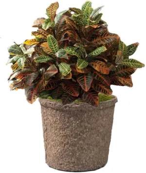 Deluxe Croton Silk Plant with Liner — Handcrafted & Amazingly Lifelike