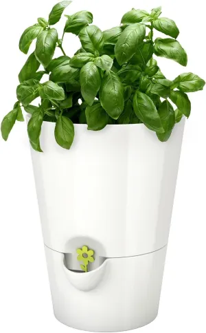 Emsa 514244 Fresh Herbs, windowsill Pot, Ø 13 cm, Height: 17 cm, Colour: White, 13 x 13 x 17 cm