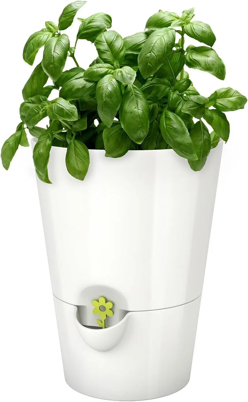 Emsa 514244 Fresh Herbs, windowsill Pot, Ø 13 cm, Height: 17 cm, Colour: White, 13 x 13 x 17 cm
