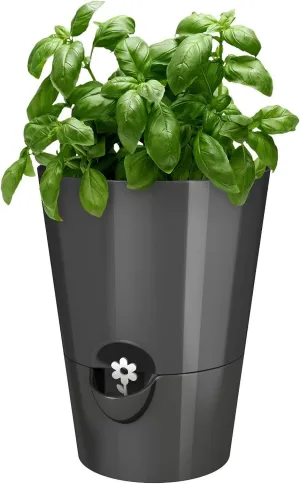 EMSA 514245 Fresh Herbs, windowsill Pot, 脴 13 cm, Height: 17 cm, Colour: Granite
