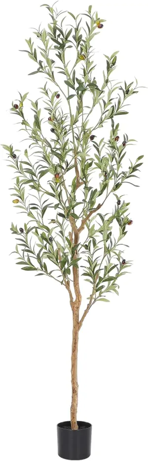Faux Olive Tree 6ft，Olive Trees Artificial Indoor with Natural Wood Trunk and Realistic Leaves and Fruits. 6 Feet(72in) Fake Olive Tree for Home House Office Décor.