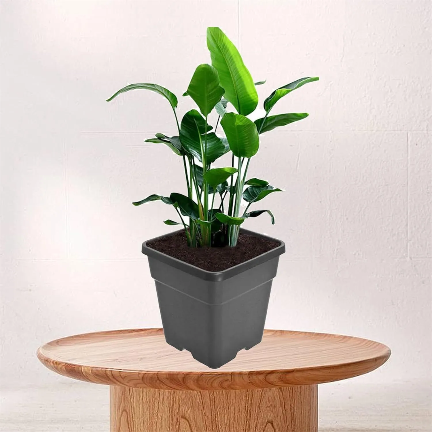 findmall 2 Gallon Square Black Nursery Pots Plant Pots Grow Pots Nursery Container for Planting Soil Plants 10 Pcs