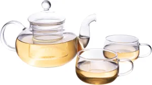 Glass Teapot Set with 2 Tea Cups & Glass Tea Infuser - Birthday Gifts for Women Unique, Tea Kettle with Removable Loose Tea Infuser - Blooming Tea Pot Set and Cups Set, Tea Sets for Adults (600 ml)
