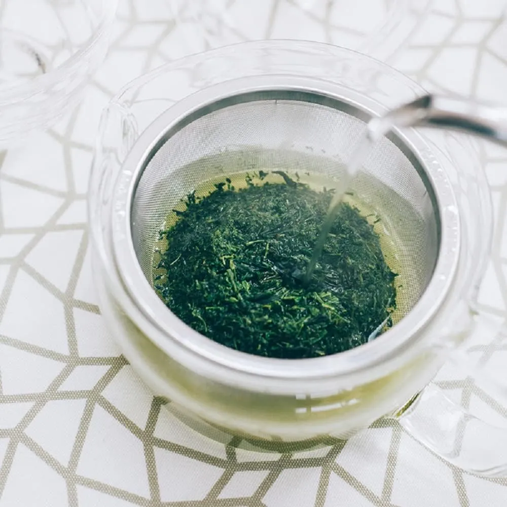 Hario ChaCha Kyusu "Zen" Tea Pot, 450ml