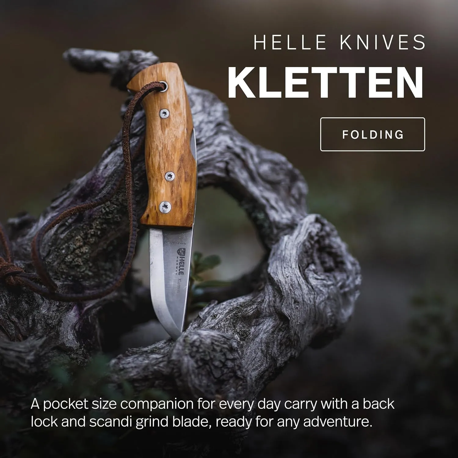 HELLE Knives - Kletten - Folding EDC Pocket Knife - Birch Wood Handle - Triple Laminated Stainless Steel - Made in Norway
