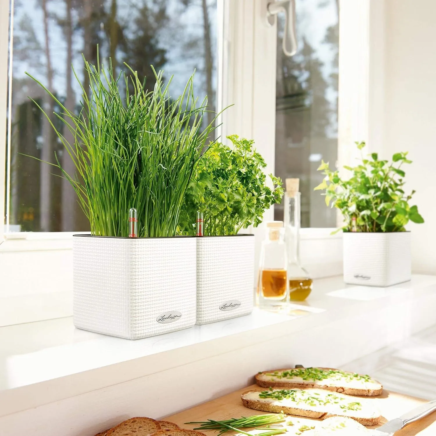 Lechuza 13380 Mini Cube Self-Watering Planter for Indoor and Outdoor Use, 5.25" x 5.25" x 5.25", White