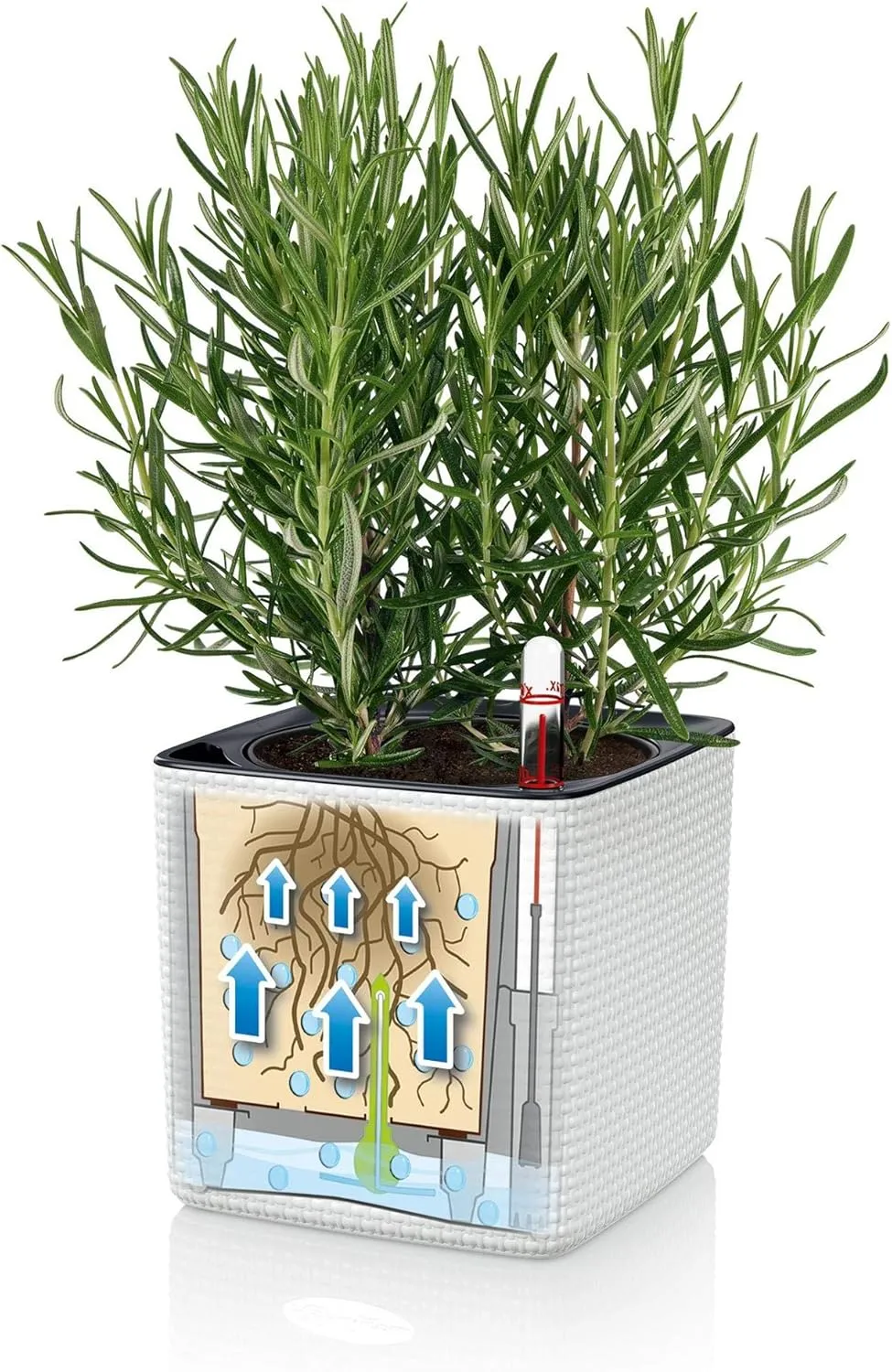 Lechuza 13380 Mini Cube Self-Watering Planter for Indoor and Outdoor Use, 5.25" x 5.25" x 5.25", White