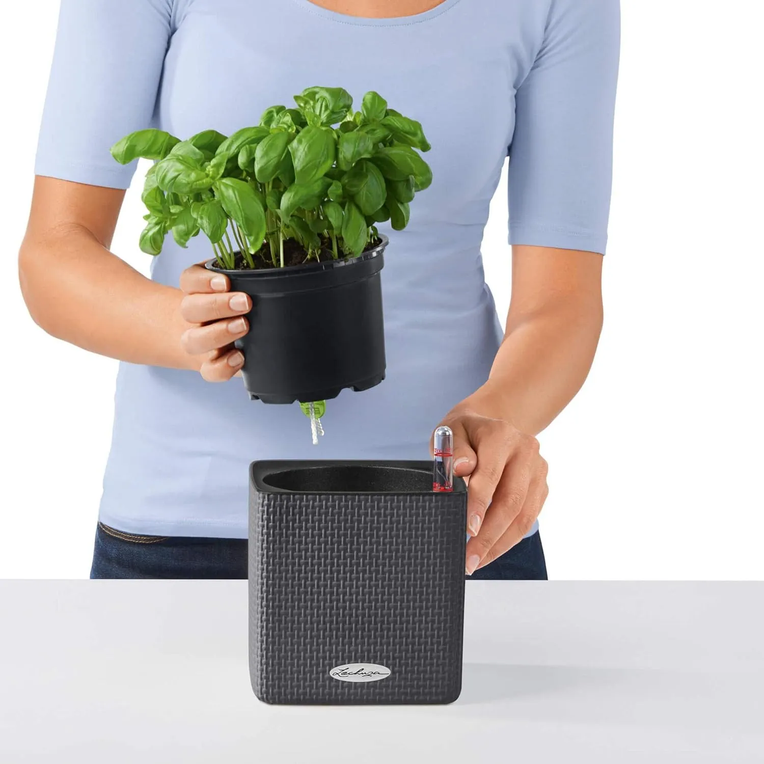 Lechuza 13380 Mini Cube Self-Watering Planter for Indoor and Outdoor Use, 5.25" x 5.25" x 5.25", White