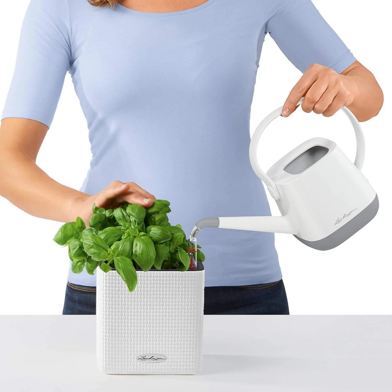 Lechuza 13380 Mini Cube Self-Watering Planter for Indoor and Outdoor Use, 5.25" x 5.25" x 5.25", White