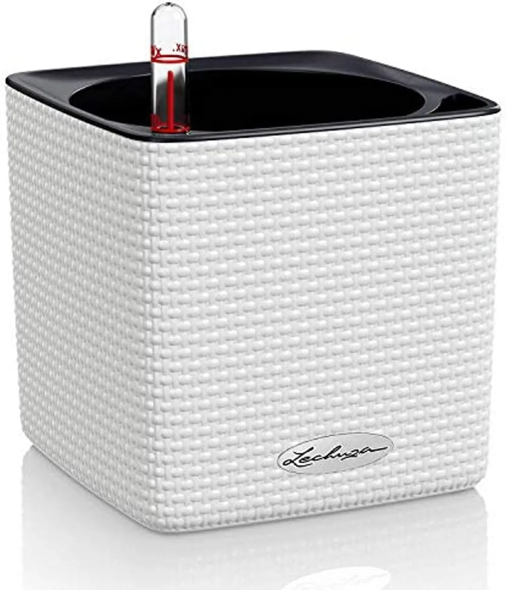 Lechuza 13380 Mini Cube Self-Watering Planter for Indoor and Outdoor Use, 5.25" x 5.25" x 5.25", White