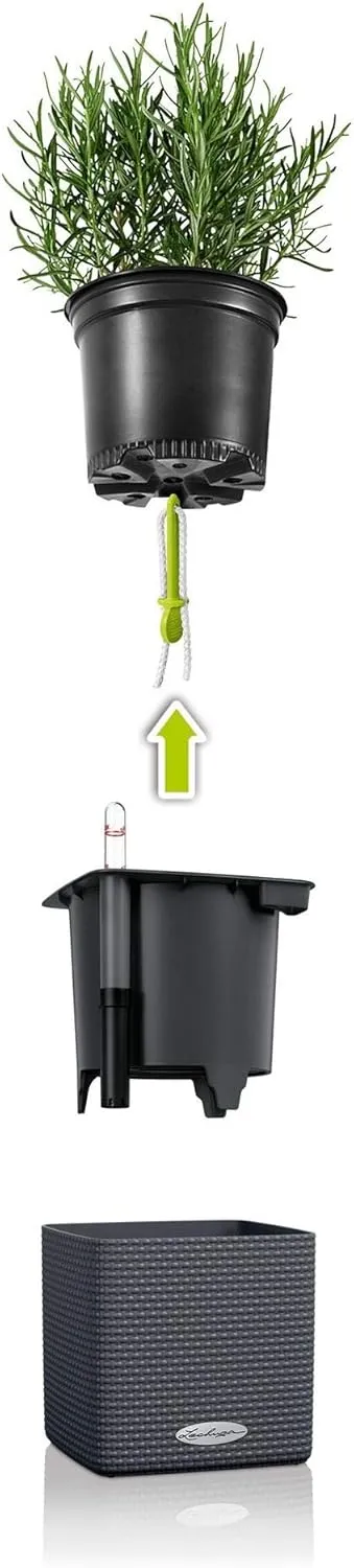 Lechuza 13380 Mini Cube Self-Watering Planter for Indoor and Outdoor Use, 5.25" x 5.25" x 5.25", White