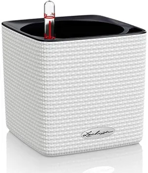 Lechuza 13380 Mini Cube Self-Watering Planter for Indoor and Outdoor Use, 5.25" x 5.25" x 5.25", White