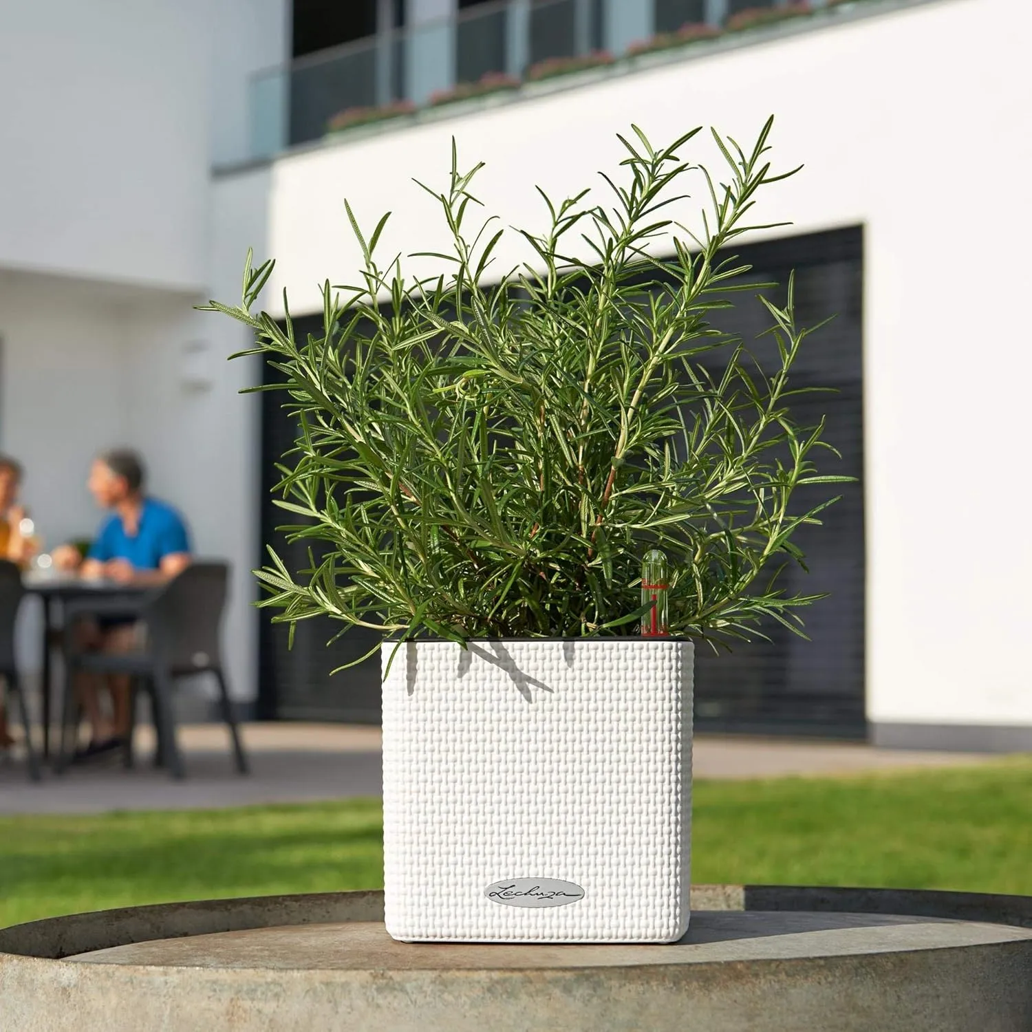 Lechuza 13380 Mini Cube Self-Watering Planter for Indoor and Outdoor Use, 5.25" x 5.25" x 5.25", White