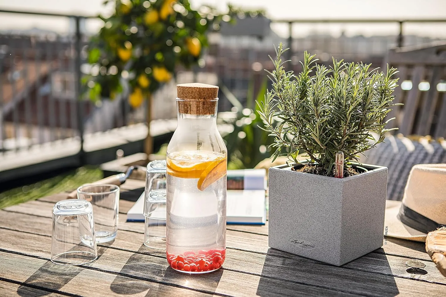 Lechuza 13470 Canto 14 Cube Self-Watering Planter for Indoor and Outdoor Use, 5.5" x 5.5" x 5.25", Grey