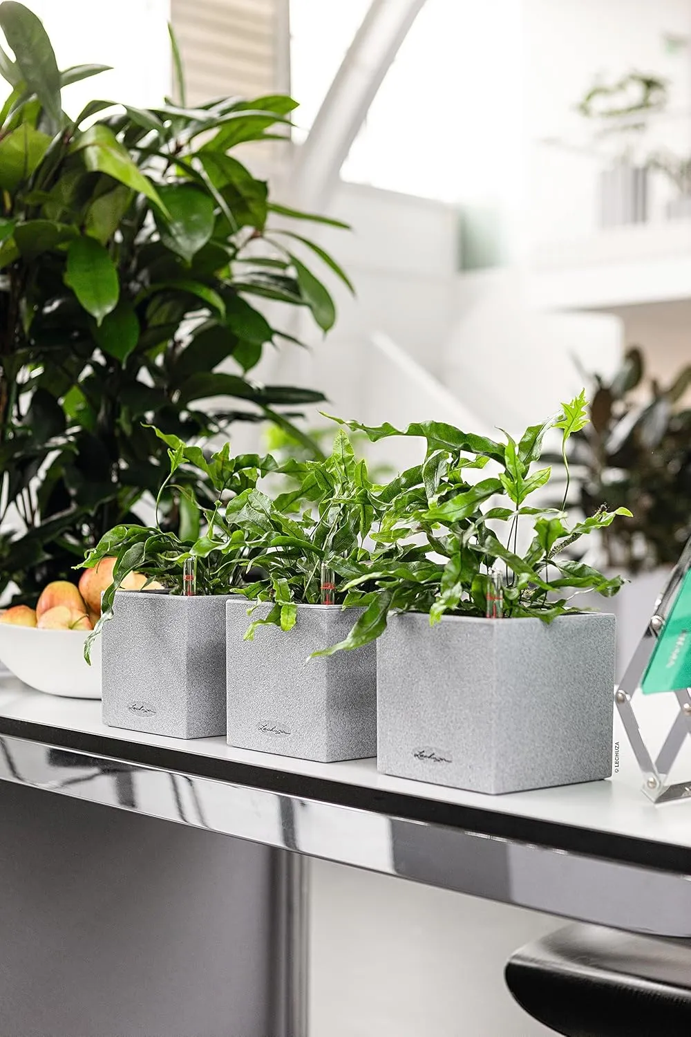 Lechuza 13470 Canto 14 Cube Self-Watering Planter for Indoor and Outdoor Use, 5.5" x 5.5" x 5.25", Grey
