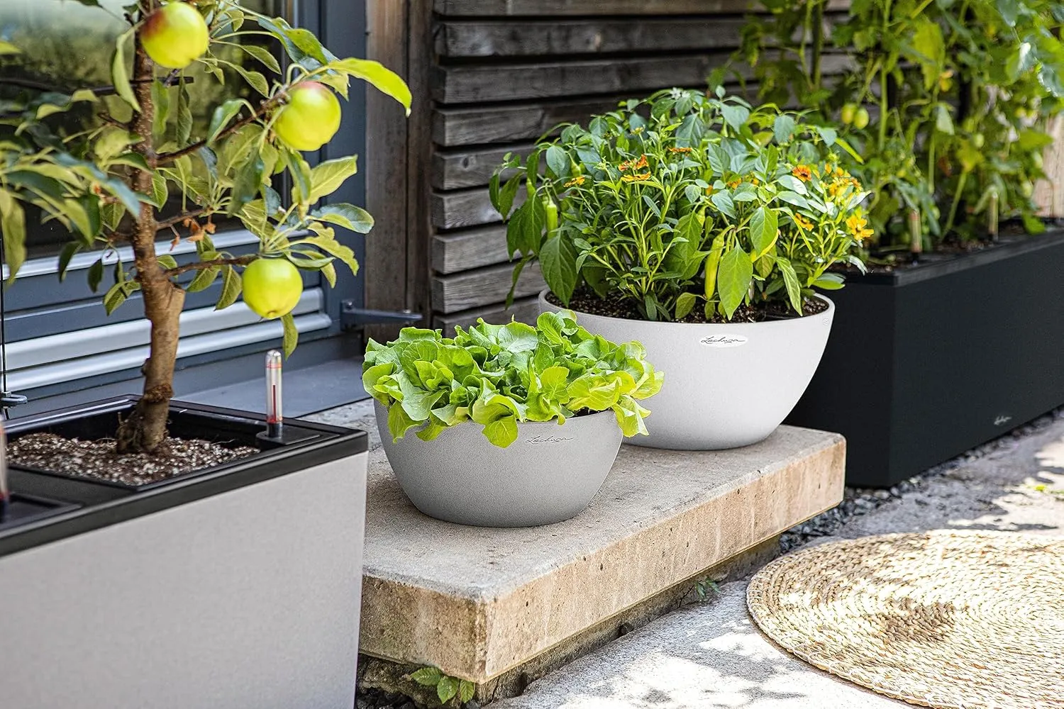 Lechuza 13847 Cubeto Color Bowl 40 Self-Watering Planter for Indoor and Outdoor Use, 15.75" Diameter x 7", White