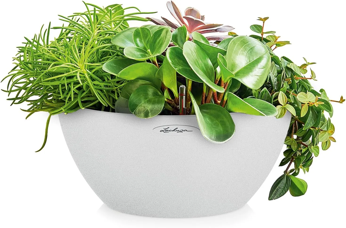 Lechuza 13847 Cubeto Color Bowl 40 Self-Watering Planter for Indoor and Outdoor Use, 15.75" Diameter x 7", White