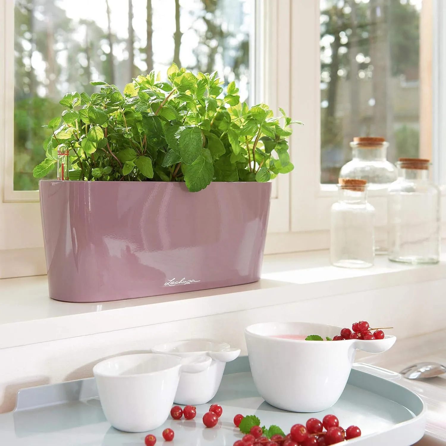 Lechuza 15466 Delta 10 Self-Watering Garden Planter, Taupe High Gloss