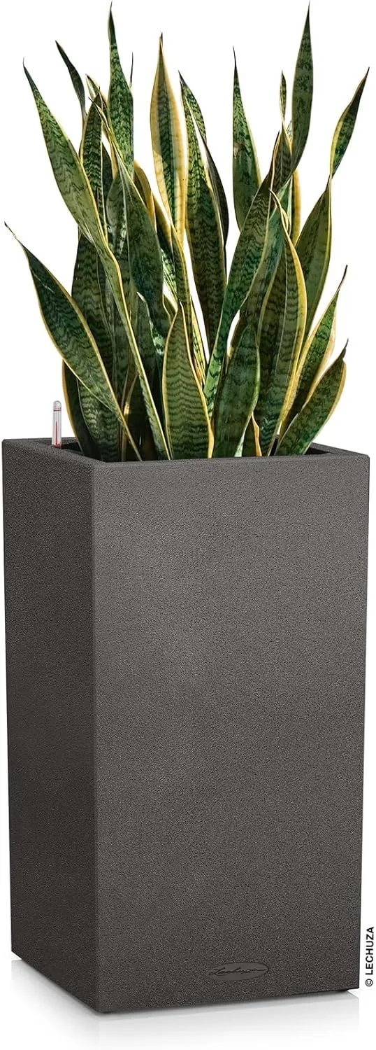 Lechuza Canto Stone 40 High Self Watering Planter Large Garden Flower Plant Pot Indoor/Outdoor Floor Planter with Drainage Hole and Plant Substrate Poly Resin H70 L40 W40 cm Graphite Black