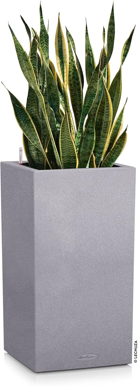 Lechuza Canto Stone - Stone Gray (13620), H-70 L-40 W-40 cm