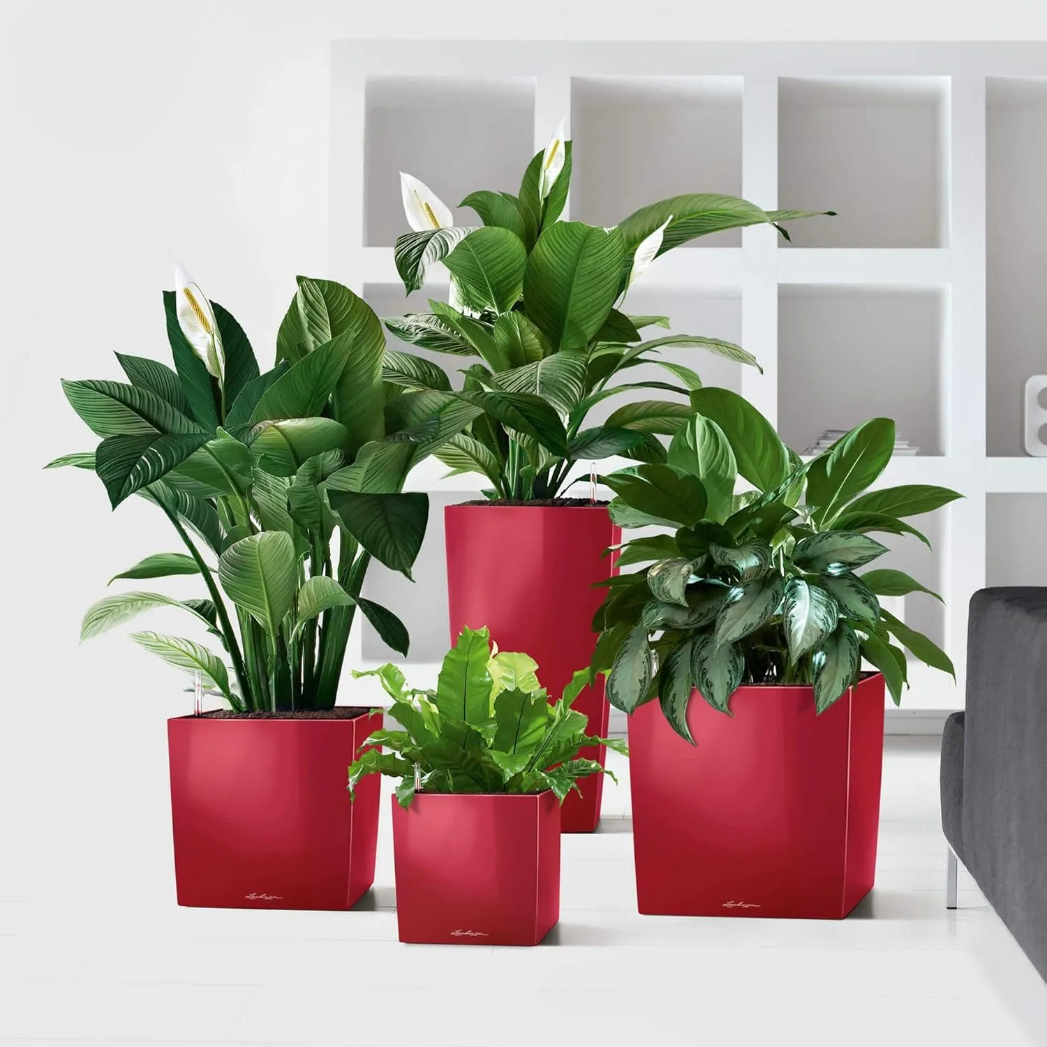 Lechuza Cube 40 Medium Flower Indoor/Outdoor Garden Floor Self-Watering Planter with Drainage Hole with Plant Substrate Contemporary Poly-Resin D40 H40 L40 W40 cm Black 3.37 Kg