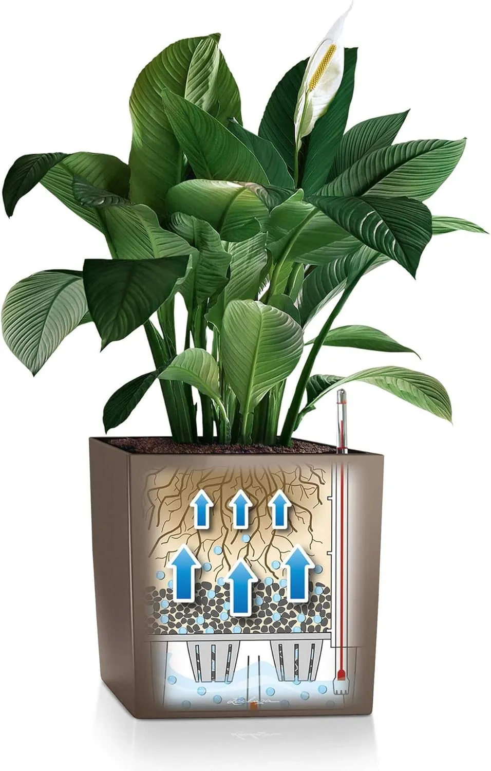 Lechuza Cube 40 Medium Flower Indoor/Outdoor Garden Floor Self-Watering Planter with Drainage Hole with Plant Substrate Contemporary Poly-Resin D40 H40 L40 W40 cm Black 3.37 Kg