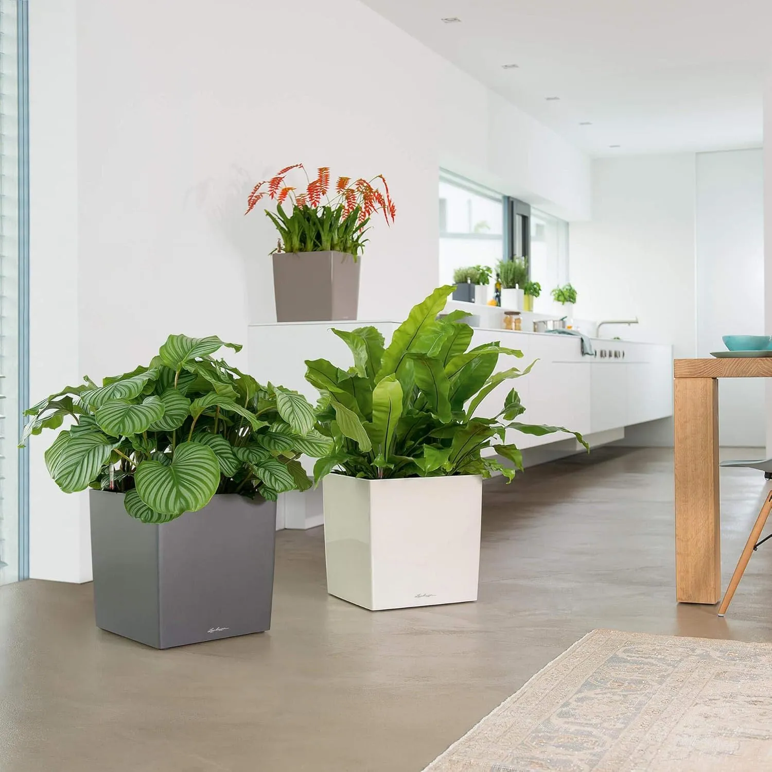 Lechuza Cube 40 Medium Flower Indoor/Outdoor Garden Floor Self-Watering Planter with Drainage Hole with Plant Substrate Contemporary Poly-Resin D40 H40 L40 W40 cm Black 3.37 Kg