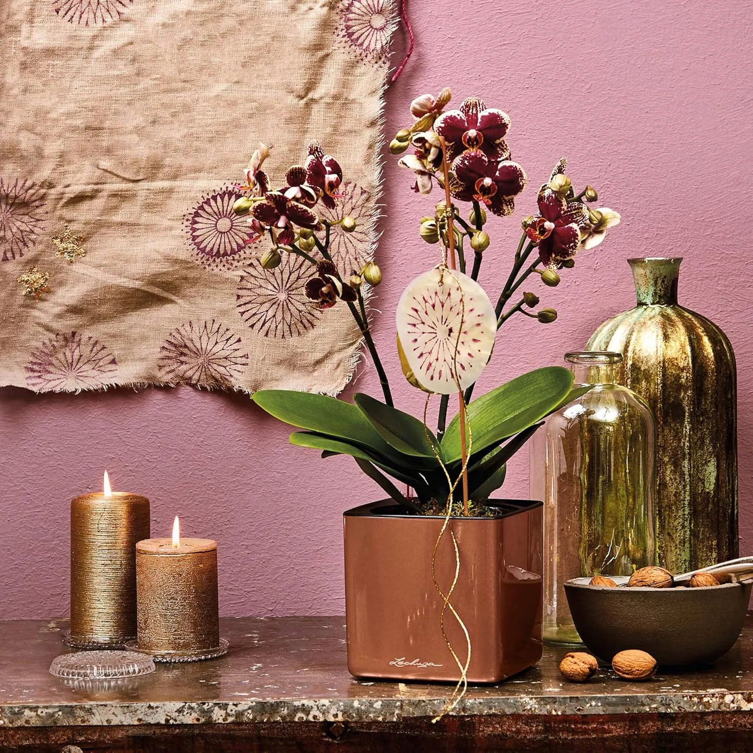 Lechuza Cube Glossy 14 Self Watering Planter Small Flower Plant Pot Indoor Table Planter Without Drainage Hole Poly Resin H14 L14 W14 cm Spicy Copper Highgloss
