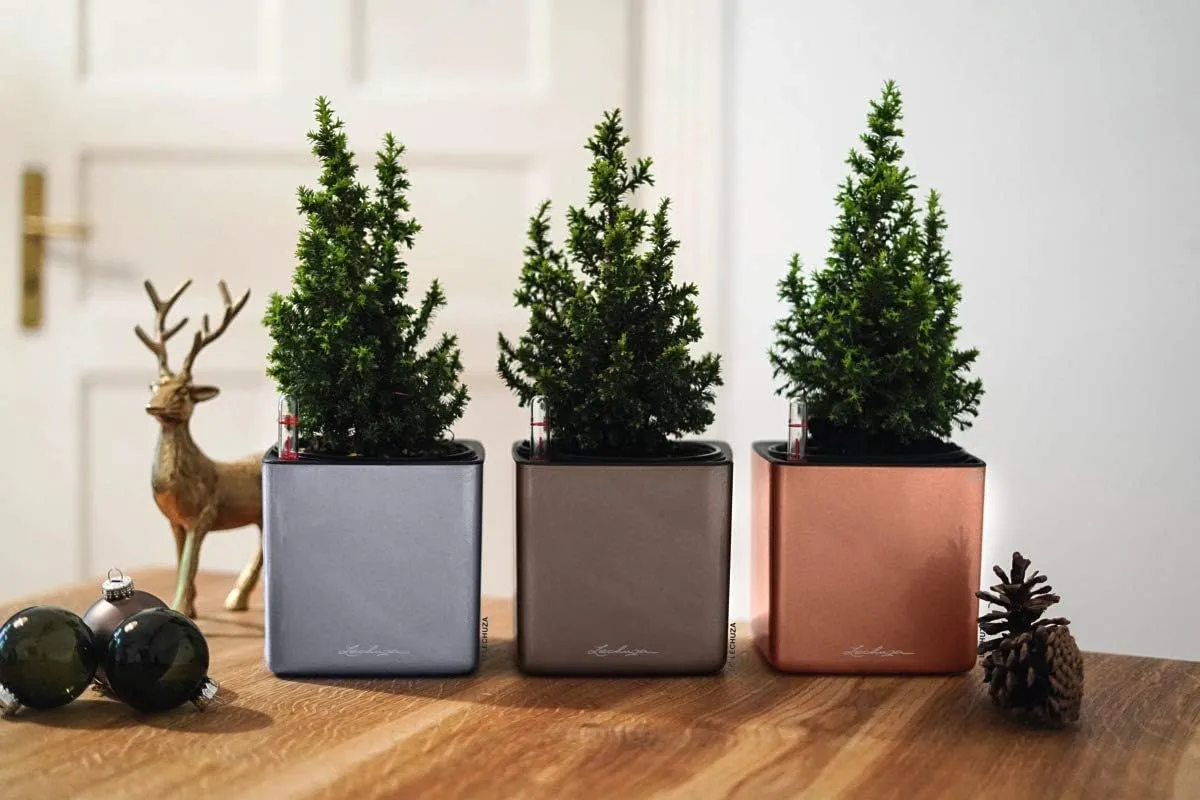Lechuza Cube Glossy 14 Self Watering Planter Small Flower Plant Pot Indoor Table Planter Without Drainage Hole Poly Resin H14 L14 W14 cm Spicy Copper Highgloss