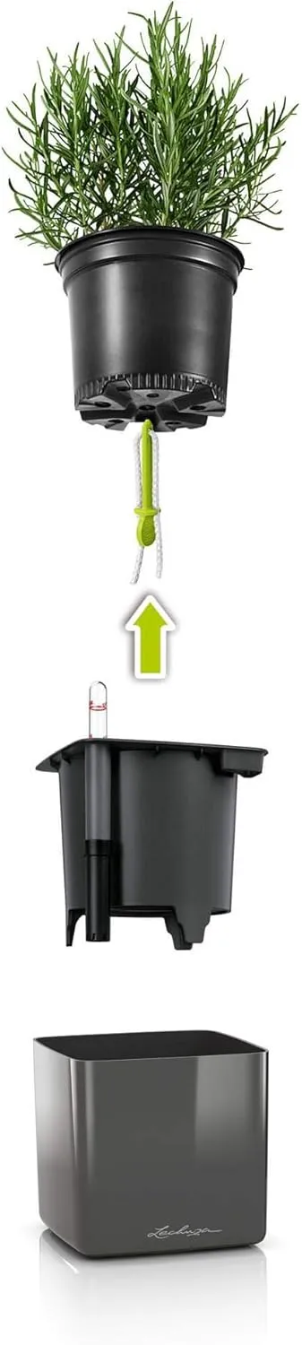 Lechuza Cube Glossy 14 Self Watering Planter Small Flower Plant Pot Indoor Table Planter Without Drainage Hole Poly Resin H14 L14 W14 cm Spicy Copper Highgloss