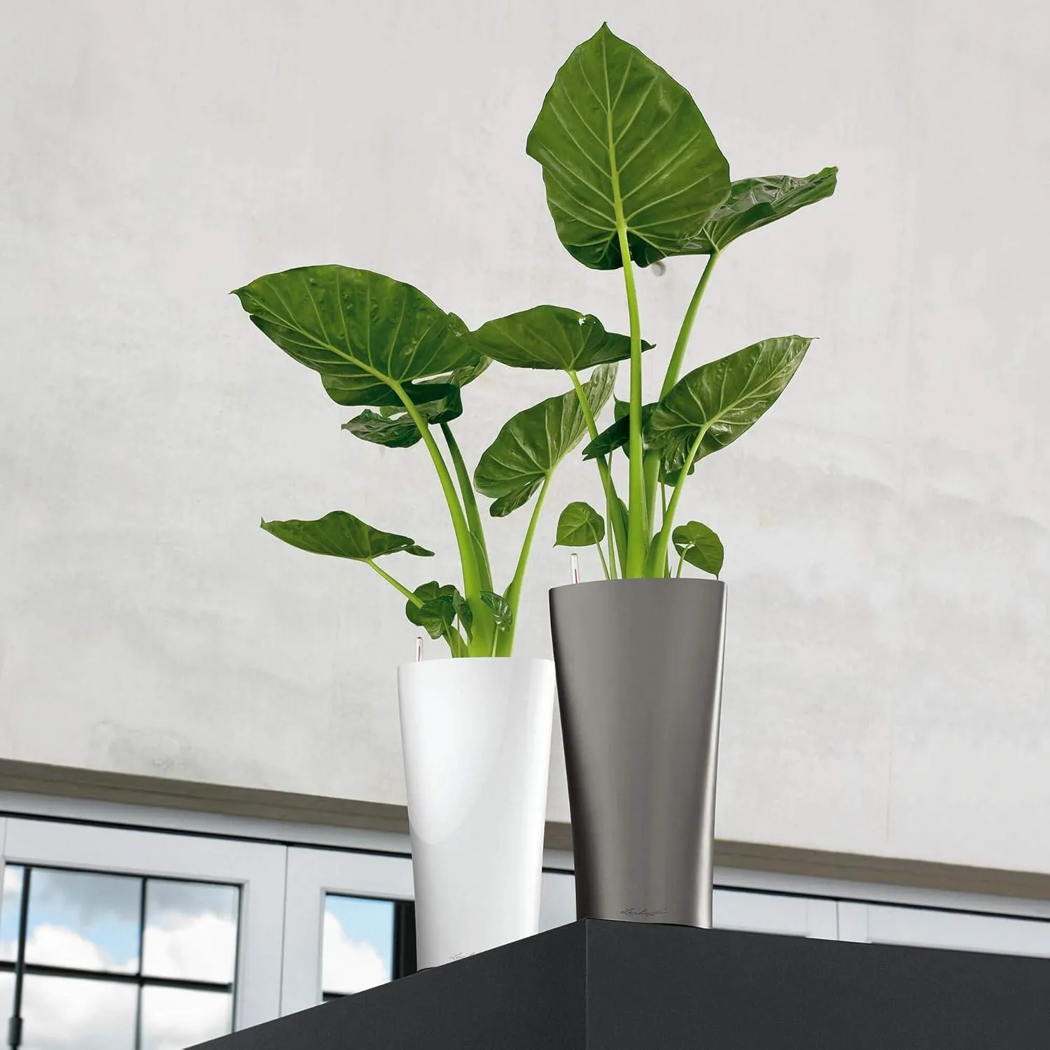 Lechuza Delta 40 Self Watering Planter Large Garden Flower Plant Pot Indoor/Outdoor Floor with Planter Drainage Hole and Plant Substrate Poly Resin D40 H75 cm White High-Gloss