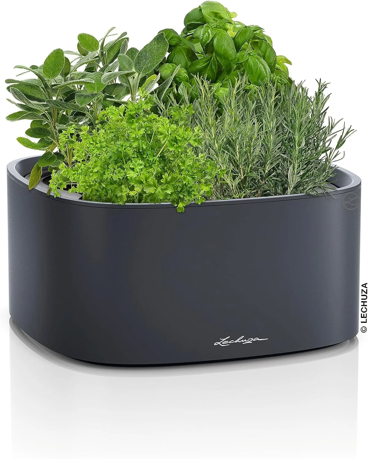 Lechuza PILA Colour Stick System Slate Grey 15946