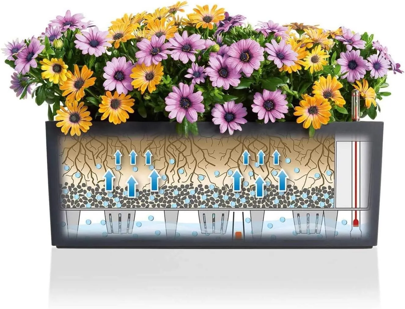 Lechuza "BALCONERA Color 50" Komplettset Lemon
