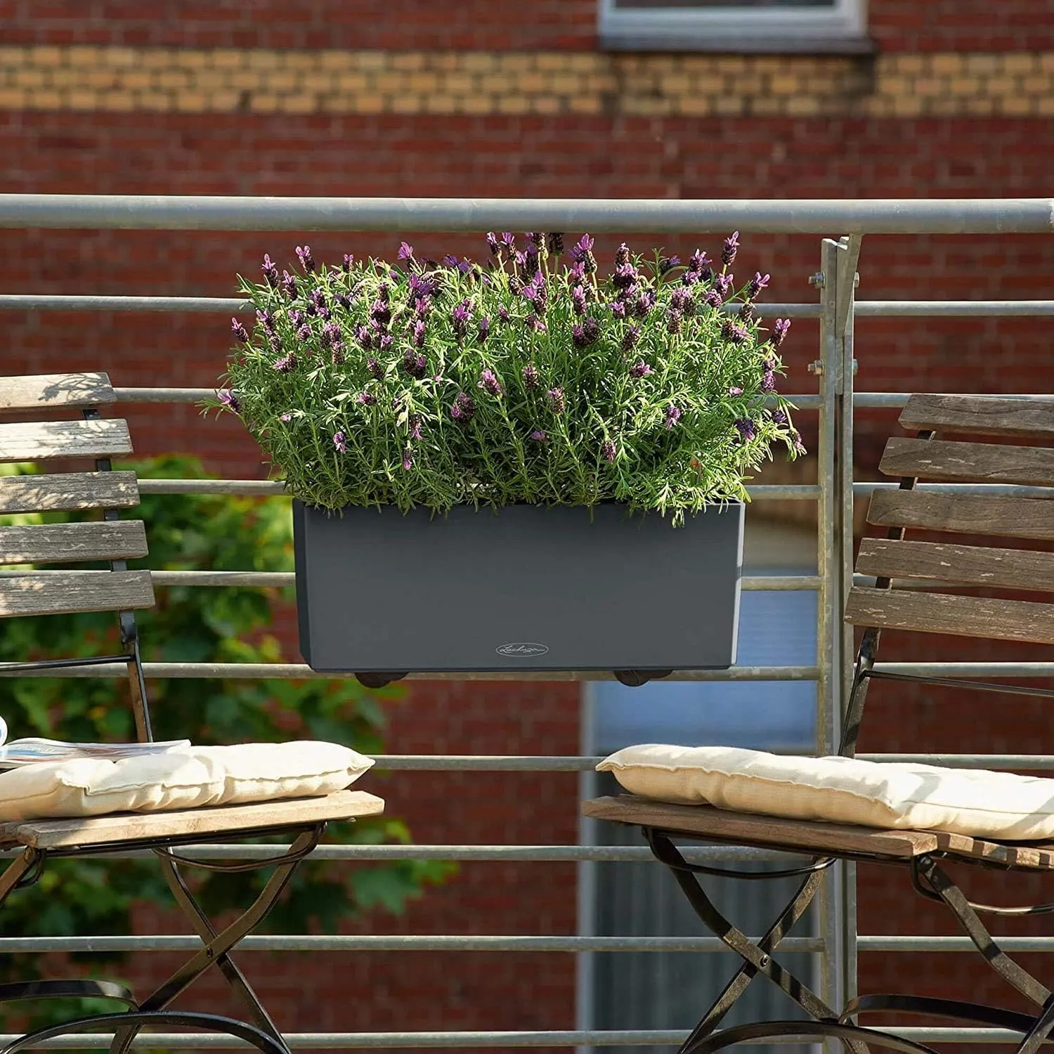 Lechuza "BALCONERA Color 50" Komplettset Lemon