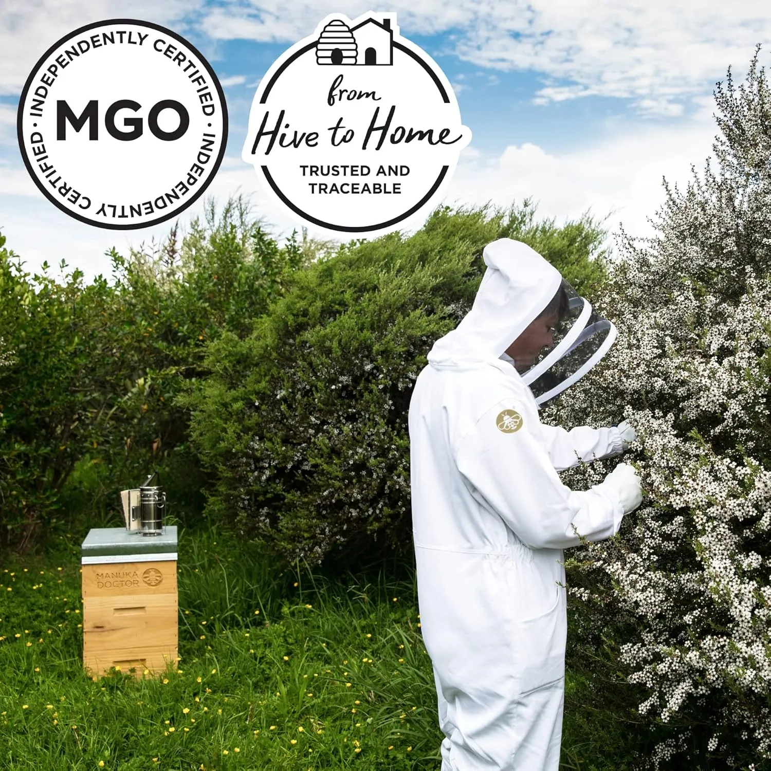 MANUKA DOCTOR - MGO 1125  Manuka Honey Monofloral, 100% Pure New Zealand Honey. Certified. Guaranteed. RAW. Non-GMO (8.75 oz)