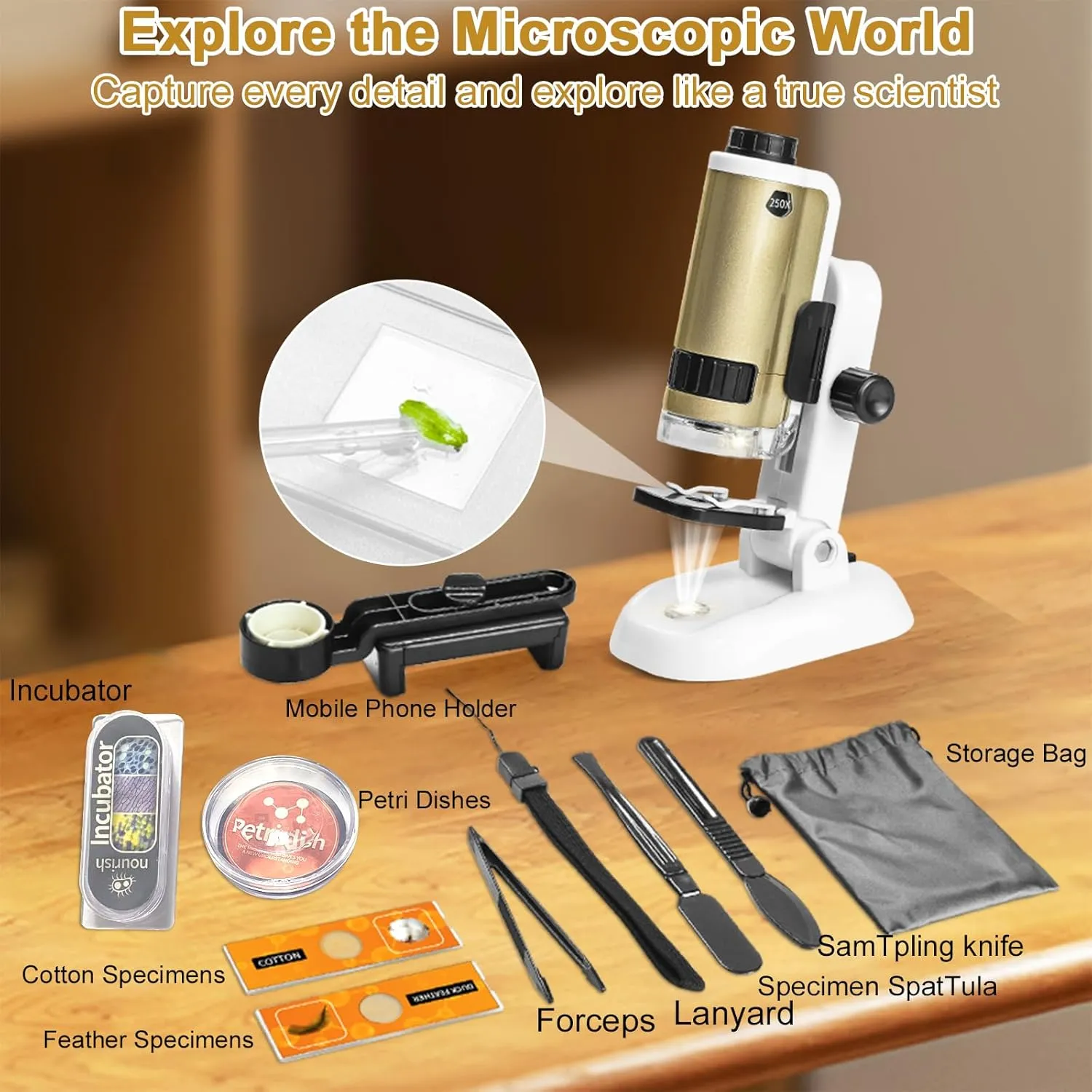 Microscope for Kids, SETFLAGS 250x Magnification Portable Pocket Microscope and 2 Slides,Science Kits STEM Toys for Kids, 4 Blank Slides, Educational Science Experiment Toy for DIY Specimen, Age 6 